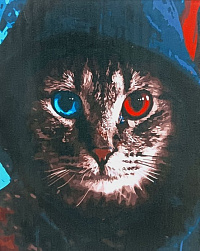 Картина по номерам Кот в капюшоне 40х50