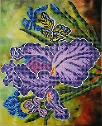 Канва для вышивания бисером "Фиолетовые ирисы" 34х27