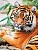 Алмазная мозаика Взгляд тигра 40х50