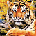 Алмазная мозаика Великий Тигр 40х50