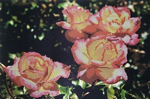 Канва для вышивания бисером "Розы" Мастерица 25х37