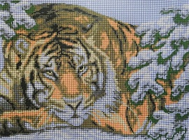 Канва для вышивания бисером "Тигр отдыхвет" Лев 36х26