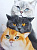 Алмазная мозаика  Три кота 40*50