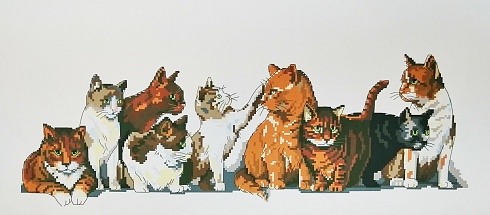 Канва с рисунком "Девять кошек" 25х55