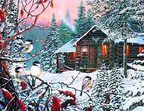 Алмазная мозаика "3имняя сказка" 40х50
