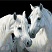 Алмазная мозаика Пара белых лошадей 26х20