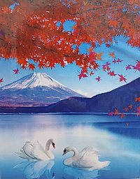 Алмазная мозаика Лебеди на озере 40*50