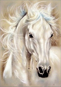 Алмазная мозаика Белый конь 20х28