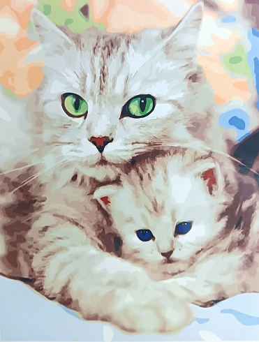 Картина по номерам  Котики 40х50